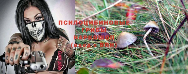 прущая мука Осташков