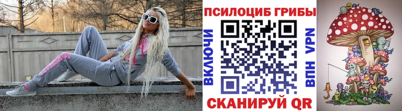 где продают наркотики  Вольск  Галлюциногенные грибы Psilocybine cubensis 