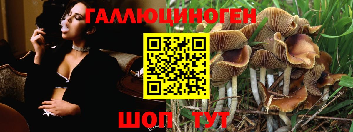 Вольск  Псилоцибиновые грибы Magic Shrooms  Вход с VPN 