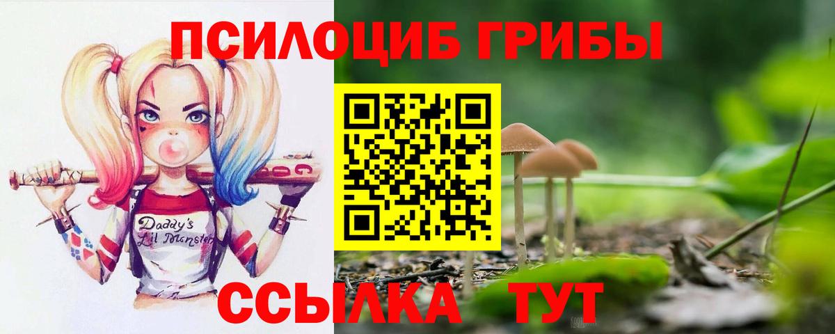Галлюциногенные грибы Psilocybe Вольск
